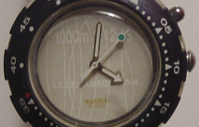 Transparent Swatch Watch